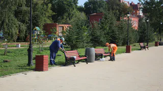Рязанцам вернут лавочки на Лыбедский бульвар