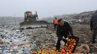 Санкции в Рязани: на свалку отправлены орехи, фрукты, мясо