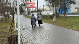 Синоптики сказали, когда адская жара отступит: термометры рухнут на 6 градусов