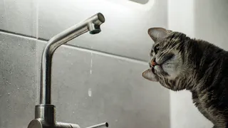 На четырёх рязанских улицах 4 марта отключат воду