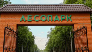 Общественное мнение победило: Любимов рекомендует искать другое место для школы в Кальном