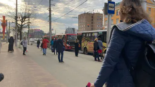 25 апреля в Рязанской области ожидается дождь, туман и до +21