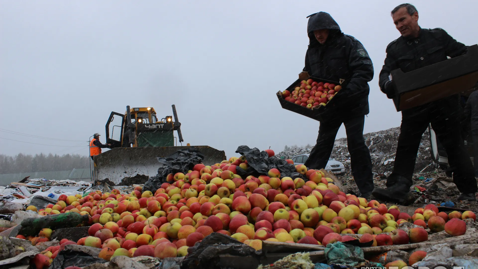 В Госдуме не поддержали законопроект о раздаче санкционных продуктов бедным