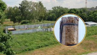 На раскопках в Рязани нашли берестяную грамоту: почему это важно
