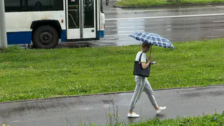 Погода в Рязани 17 августа: переменная облачность, дожди и тепло