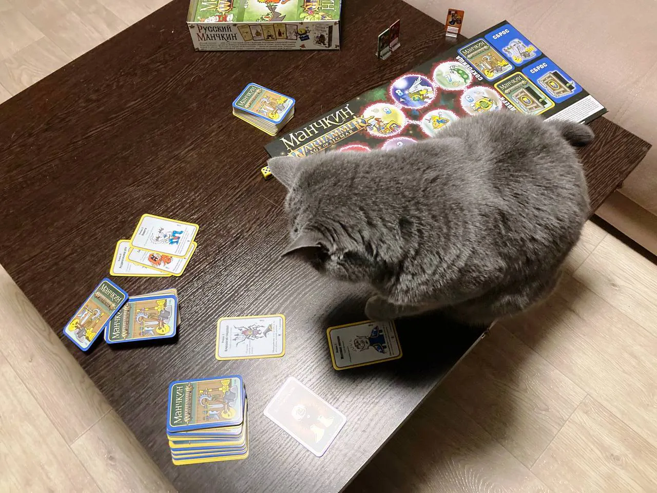 «Манчкин Вархаммер»: игра, которую оценила даже кошка
