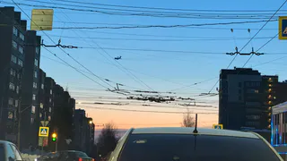 Энергетики Рязанской области перешли на режим повышенной готовности из-за штормового предупреждения
