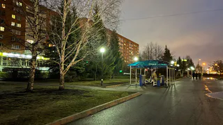 В центре Рязани посадили новые ели рядом с памятником Ленину