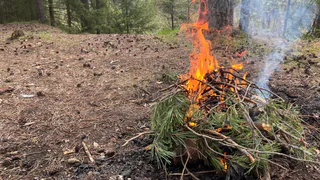 В Рязанской области до 26 августа сохранится высокая пожарная опасность