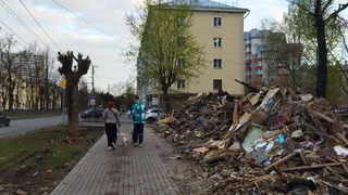 Сельчане под Рязанью взмолились Бастрыкину: «Остановите мусорный полигон»