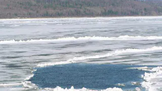 Солдат ВДВ спас упавшего в ледяную воду инвалида-колясочника