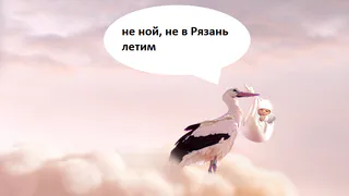 В Рязанской области стали меньше рожать и жениться