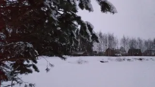 О погоде в Рязани - чем удивит последняя неделя февраля