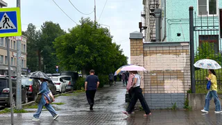Дожди зарядят в Рязани на весь день 24 сентября