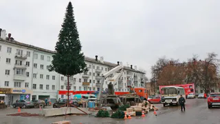 На улицах Рязани установят 31 новогоднюю ель