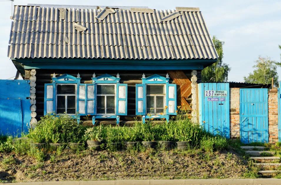 Одно из самых популярное растений у дачников теперь запретили выращивать: новое правило с мая