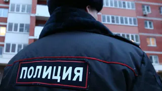 В Рязанской области мужчина получил срок за кражу дров
