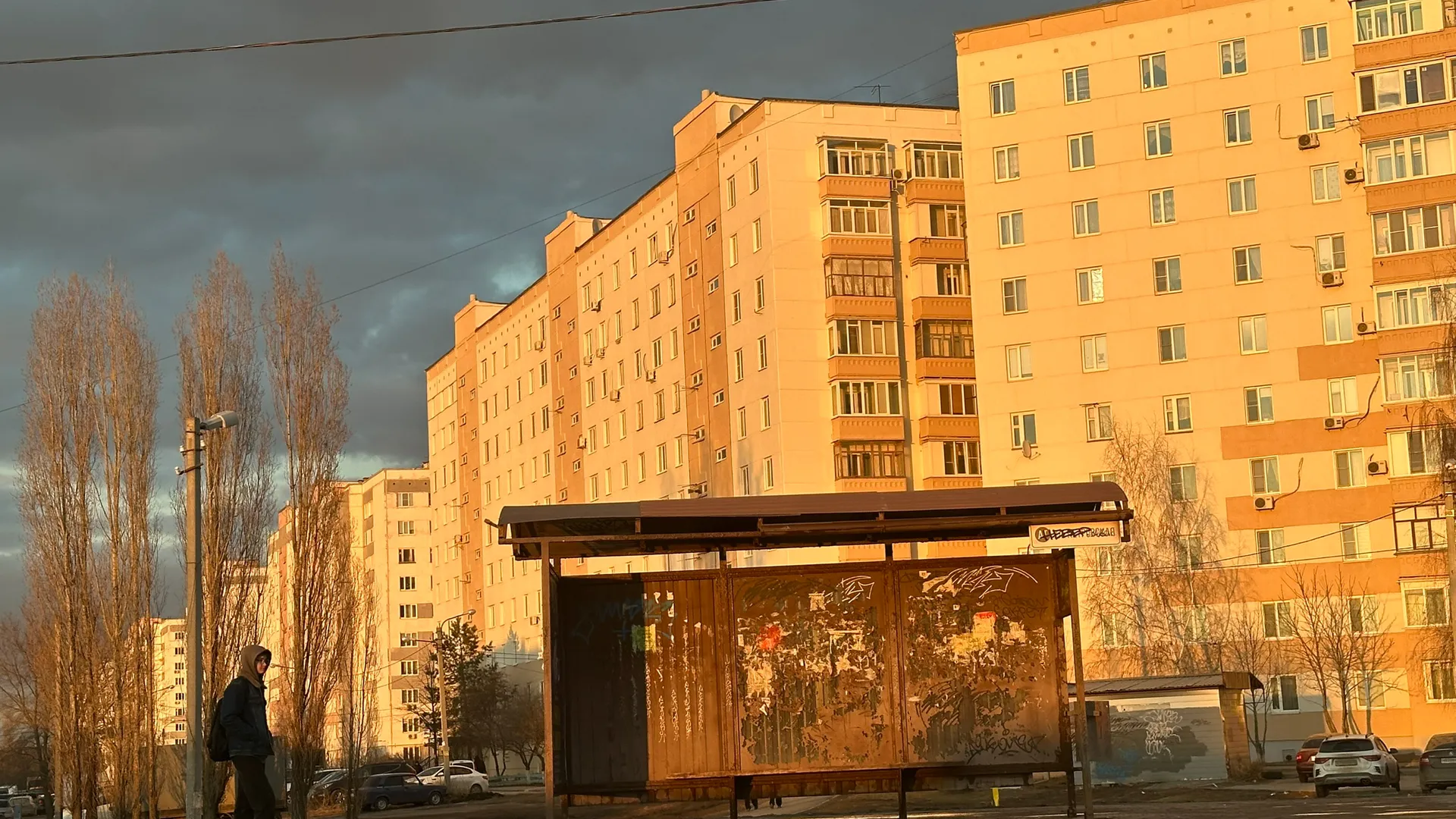 Рязанцы остались возмущены месторасположением площадки для собак в Канищеве