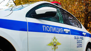 Авария в Спасском районе: водитель легковушки въехал в дерево 