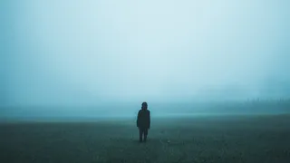 МЧС предупреждает рязанцев о сильном тумане