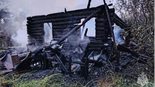 В Рязанской области два пенсионера сгорели в дачном домике