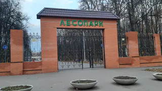 В Лесопарке Рязани в 2024 году построят две площадки на 12,6 млн рублей