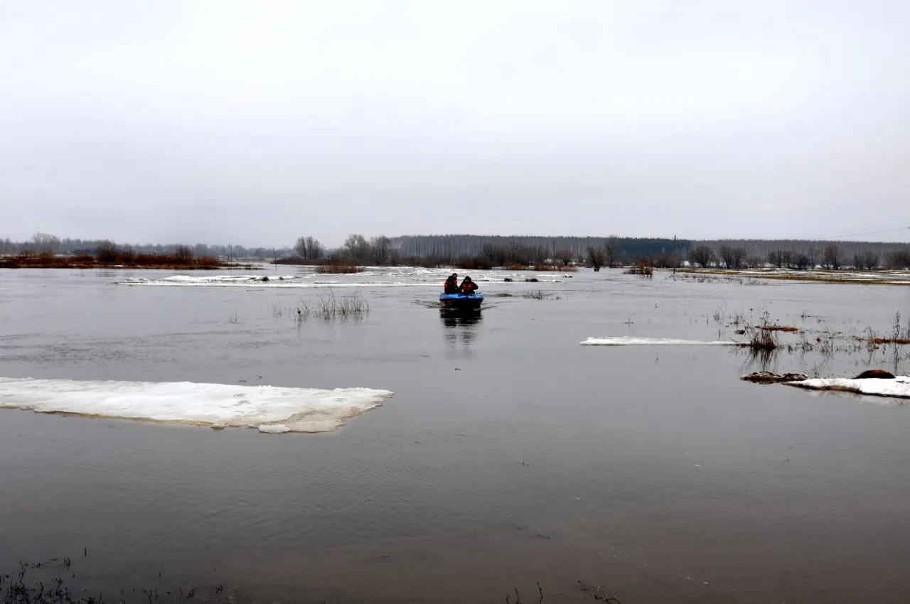 Заливает: уровень воды в Оке повысился на 73 сантиметра
