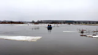 Заливает: уровень воды в Оке повысился на 73 сантиметра