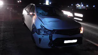 В Сасовском районе на трассе М5 "Урал" насмерть сбили женщину