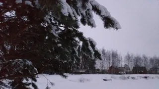 Ночью в Рязани похолодает до -9