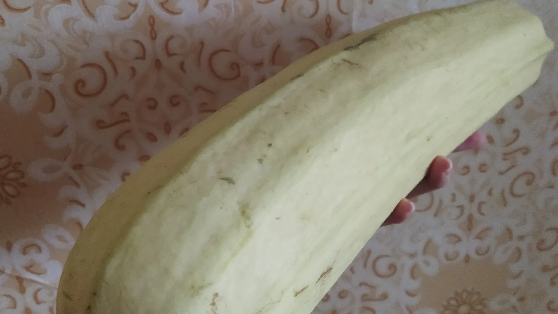 Не жарьте кабачки кружочками: приготовьте эту потрясающую закуску за 15 минут - съедают быстрее, чем подаю