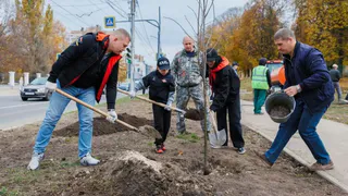 Улица Есенина в Рязани стала зеленее: высадили липы, яблони и гортензии