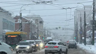  В Рязанской области двое приятелей угнали машину, чтобы покататься