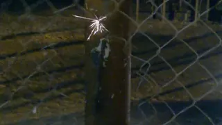 Администрация Рыбного пообещала, что током на катке больше никого не ударит