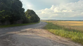 В рязанском зерне из хранилищ оказались лишние примеси