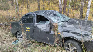 В Рязанской области водитель «Лады» врезался в дерево