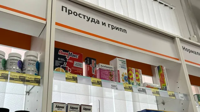 «Иммуномодуляторы — пустая трата денег»: врач дал рязанцам неожиданный совет перед сезоном ОРВИ