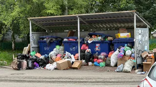Власти обещали рязанке чаще вывозить мусор в Клепиковском округе