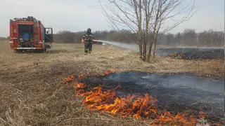 За неделю в Рязанской области потушили 110 пожаров