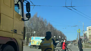 Курьеры стали лидерами подработки в Рязани 