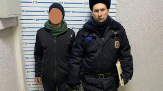 Полиция Рязани задержала вора металлических столбов на улице Есенина