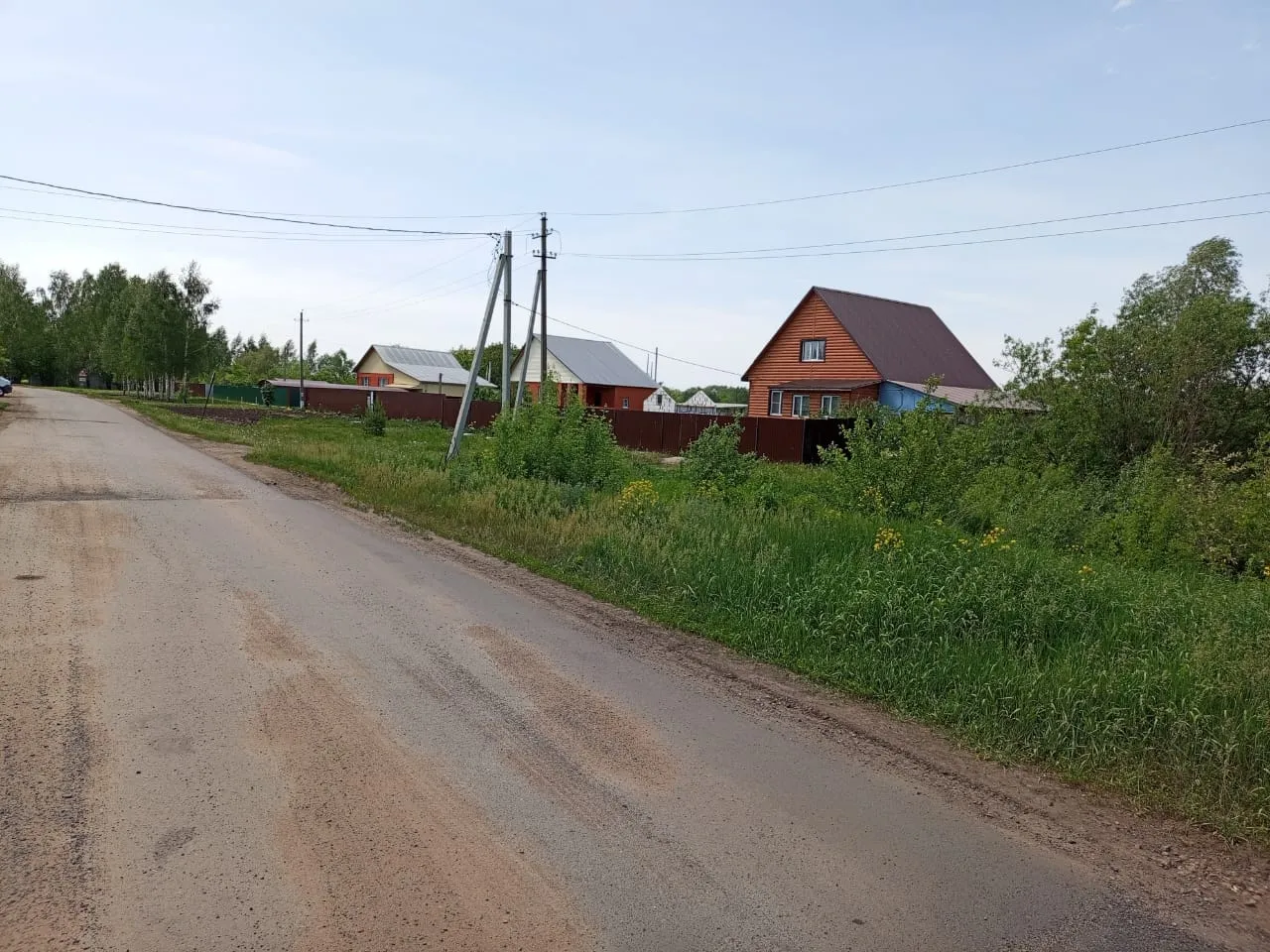 Самый доходный и лёгкий бизнес в деревне даже на 10 сотках: ещё и государство помогает - но есть один нюанс