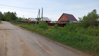 Самый доходный и лёгкий бизнес в деревне даже на 10 сотках: ещё и государство помогает - но есть один нюанс