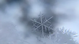 В Рязани в ближайшее время может выпасть первый снег