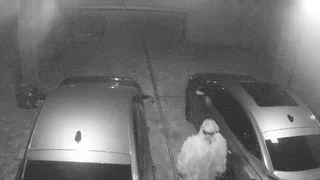 Несколько рязанских особняков обокрал вор в костюме снайпера