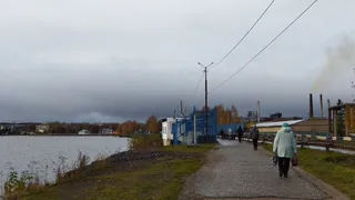 До +21 и без дождей: какой будет погода в Рязанской области 13 октября