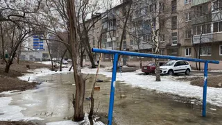 Рыбалка с доставкой на дом: в луже рязанского двора плавают живые рыбы