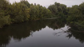 В болотах под Рязанью нашли пропавшего мужчину