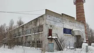 Известный птицеводческий комплекс "Бройлер Рязани" продают за 261 миллион рублей
