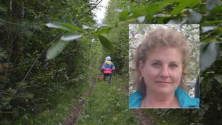 В Рязани пропала женщина, ушедшая за грибами